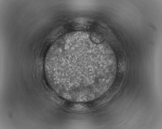 X0000111420753200908101055