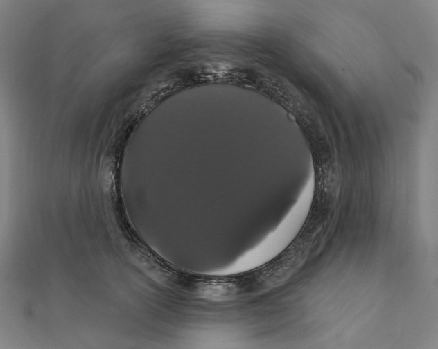 X0000111420754200908101055