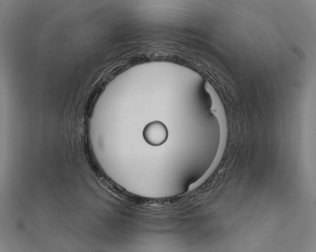 X0000111420756200908101055