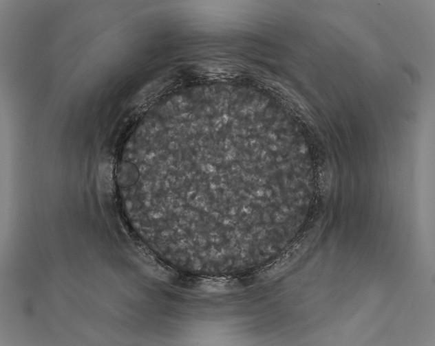 X0000111420757200908101055