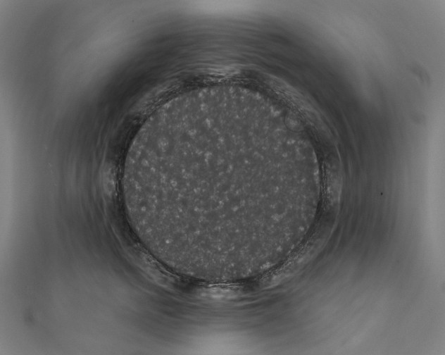 X0000111420758200908101055