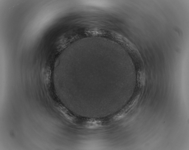 X0000111420760200908101055