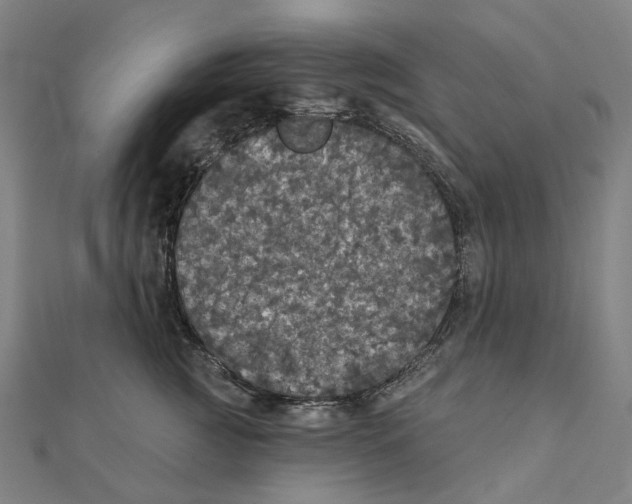 X0000111420761200908101055