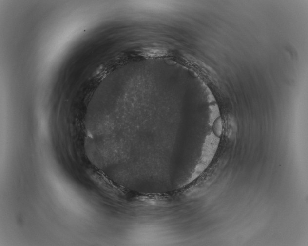 X0000111420763200908101056