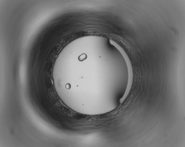X0000111420764200908101056
