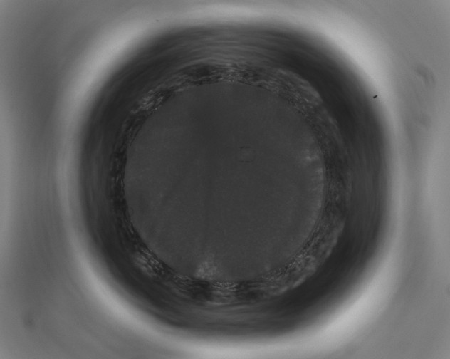 X0000111420766200908101056