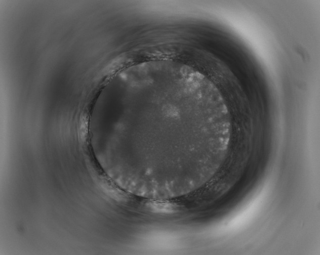 X0000111420767200908101056