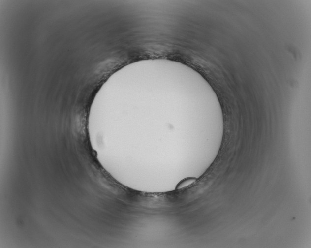 X0000111420768200908101056