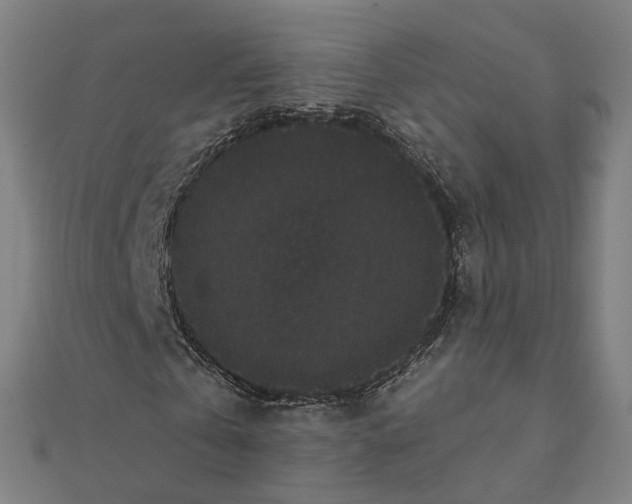 X0000111420769200908101055