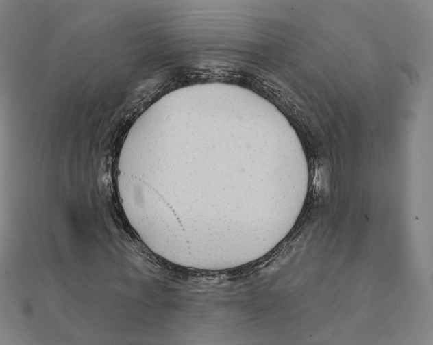 X0000111420771200908101055