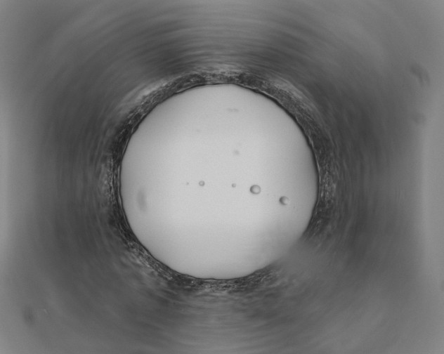 X0000111420773200908101055