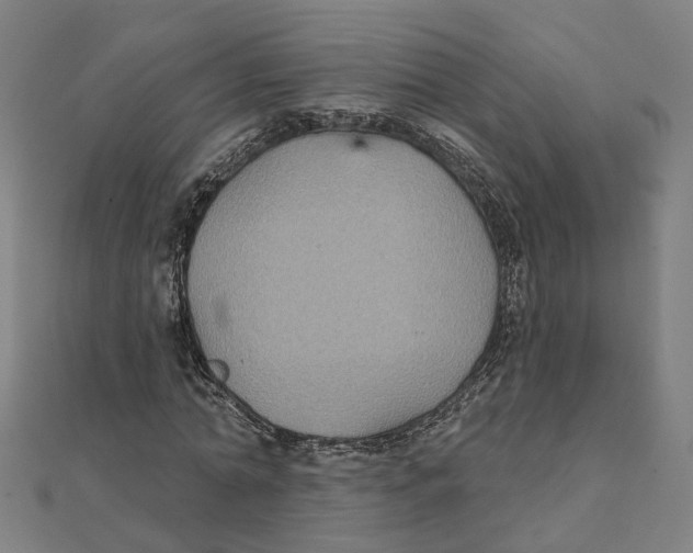 X0000111420774200908101055