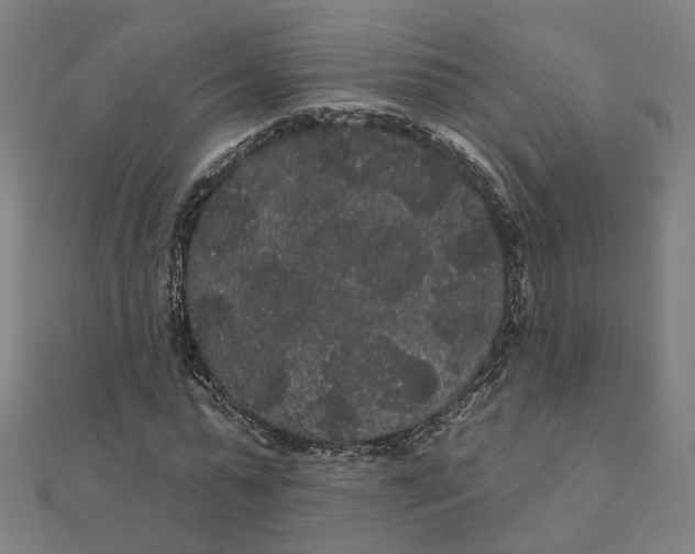 X0000111420775200908101055