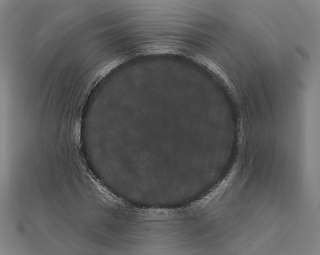 X0000111420777200908101055