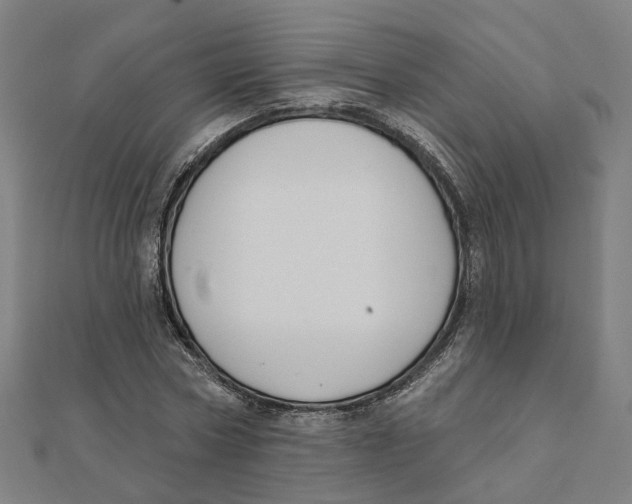 X0000111420778200908101055