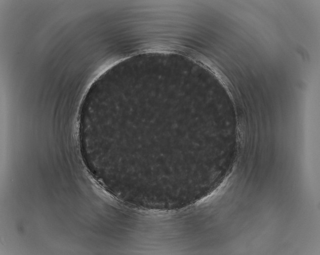 X0000111420779200908101055