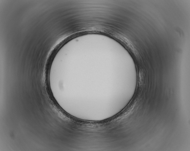 X0000111420780200908101055