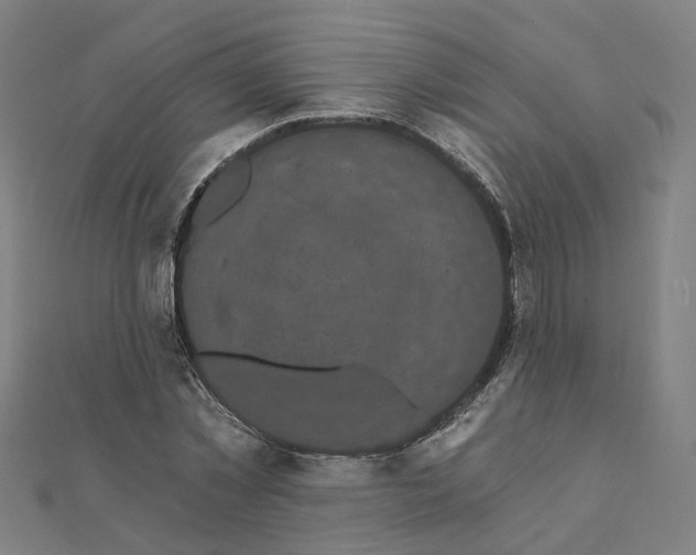 X0000111420781200908101055