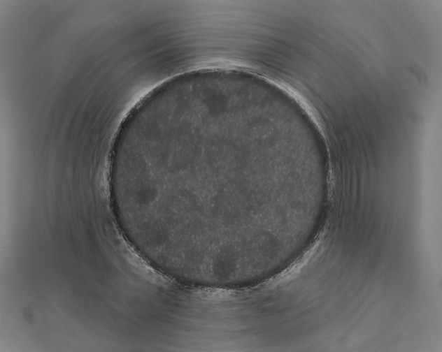 X0000111420783200908101055