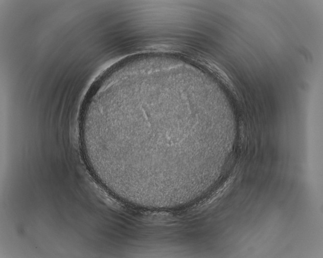 X0000111420784200908101055