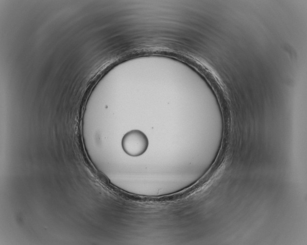 X0000111420785200908101055