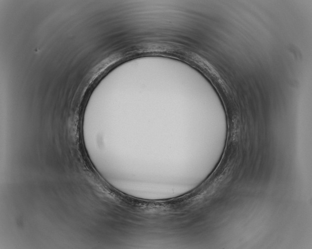 X0000111420786200908101055