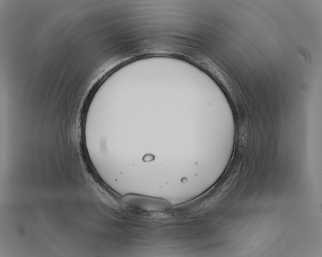 X0000111420787200908101055
