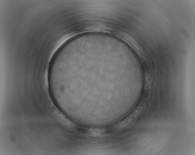 X0000111420788200908101055