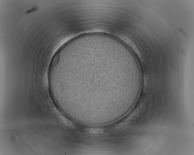 X0000111420789200908101055