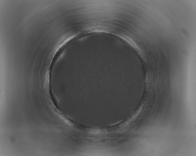 X0000111420790200908101055