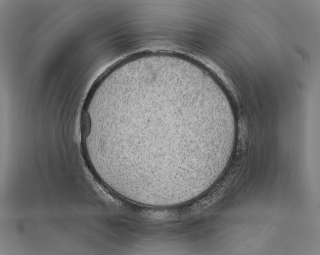 X0000111420791200908101055