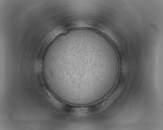 X0000111420793200908101055