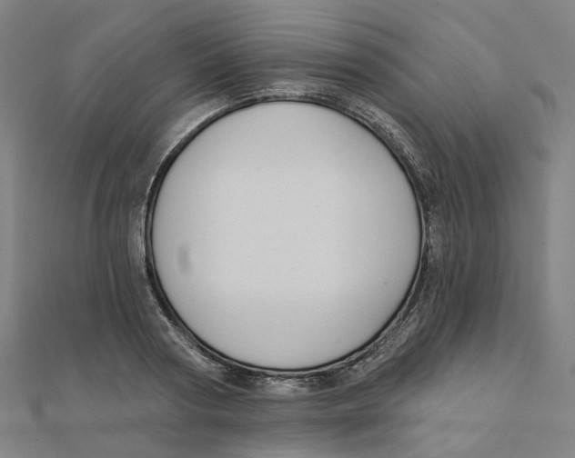 X0000111420794200908101055