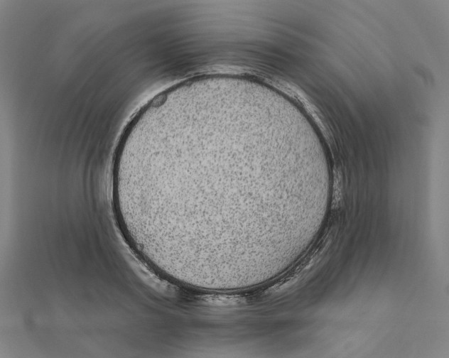 X0000111420795200908101055