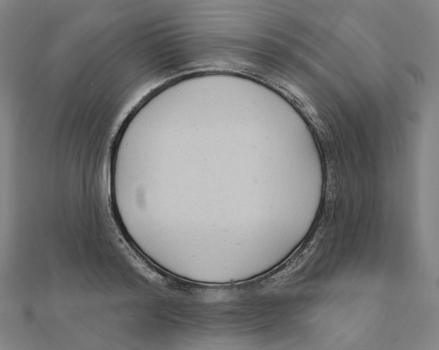 X0000111420796200908101055