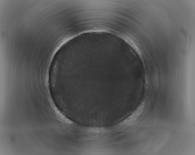 X0000111420797200908101055