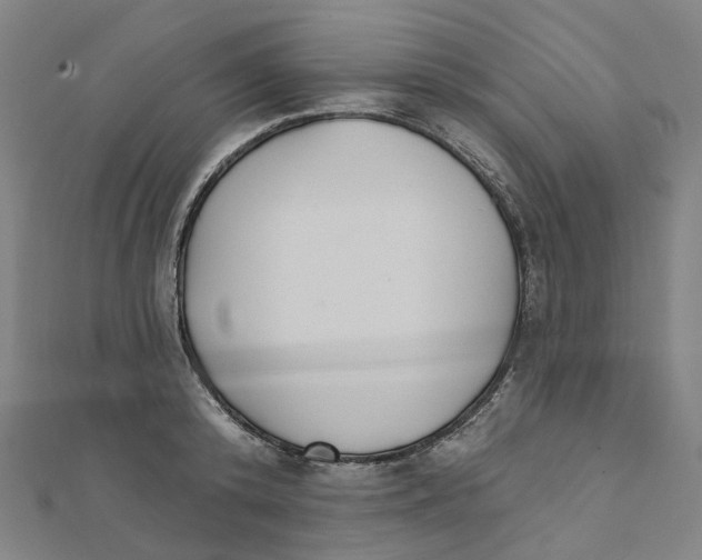 X0000111420800200908101055