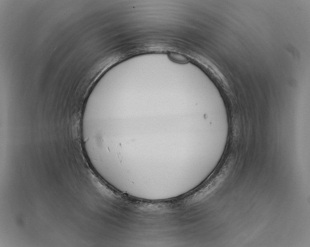 X0000111420801200908101055