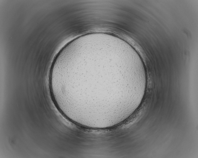 X0000111420803200908101055
