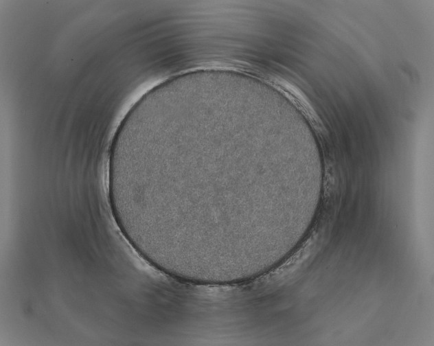 X0000111420804200908101055