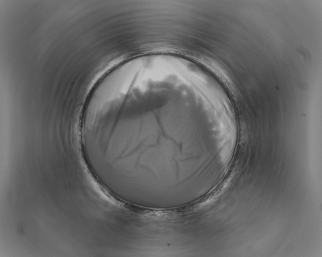 X0000111420806200908101054