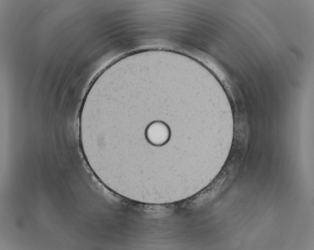 X0000111420807200908101054