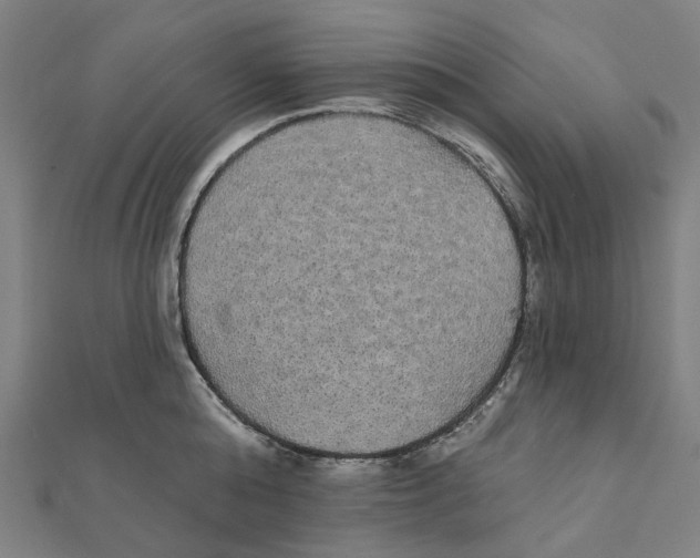 X0000111420808200908101054