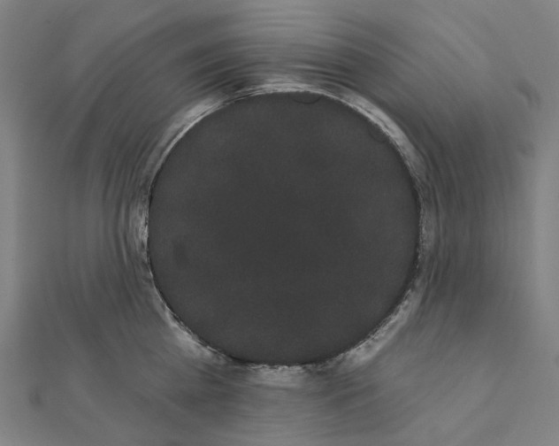 X0000111420809200908101054