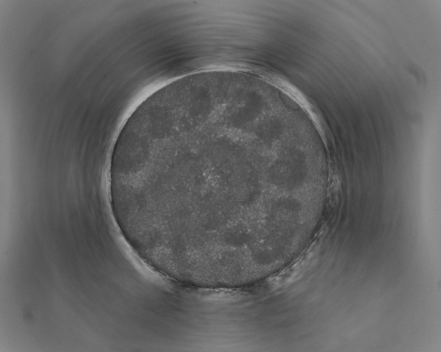 X0000111420811200908101054