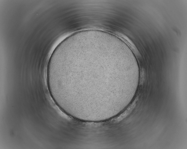 X0000111420812200908101054