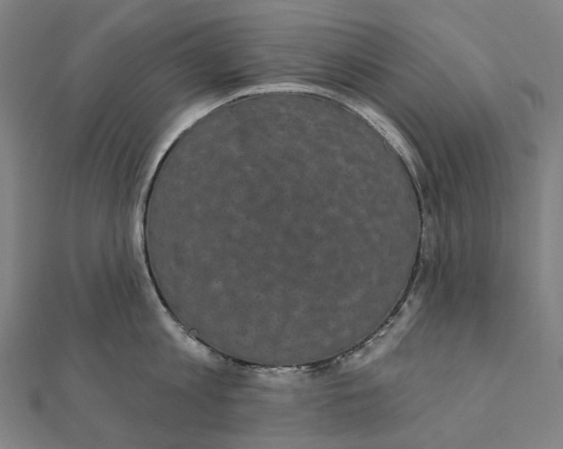 X0000111420813200908101054