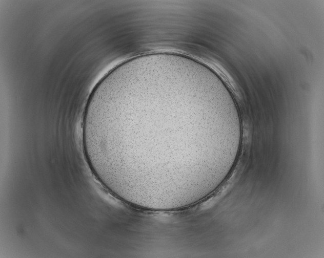 X0000111420814200908101054