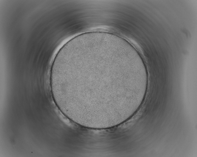 X0000111420816200908101054