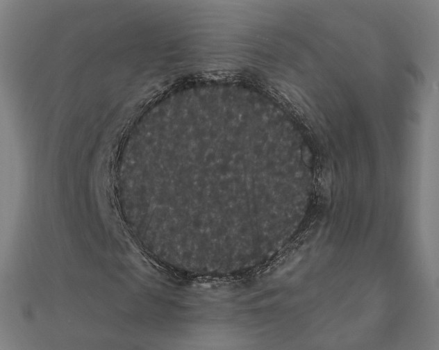 X0000111420817200908101054